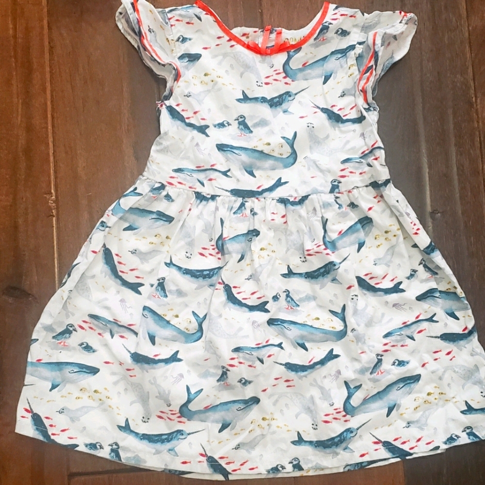 Whale dress Genuine Kids Osh Kosh